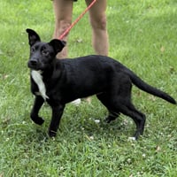 TATER - Photo 2