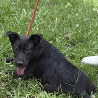 TATER - Photo 4