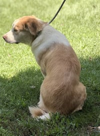 BJ - Photo 4