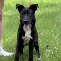 Tater - Photo 1