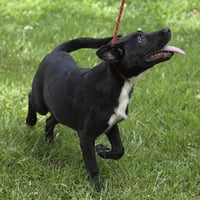Tater - Photo 3