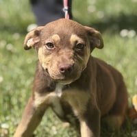 REESE CUP - Photo 1