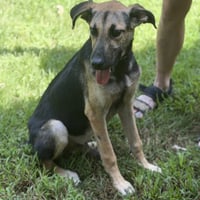 Carter - Photo 4