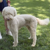 FINNEY - Photo 3