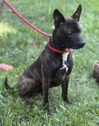 ZEUS - Photo 3