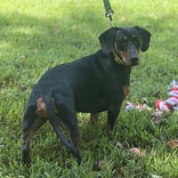 BUDD - Photo 4
