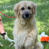 Dukey - Photo 2