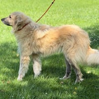 Dukey - Photo 3