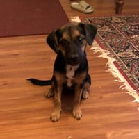 WILMA - Photo 4