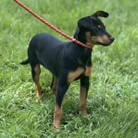 BELLE - Photo 3