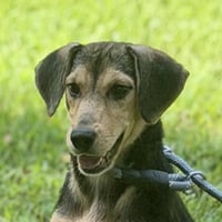 LUNA - Photo 1
