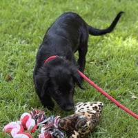 TUCKER - Photo 3