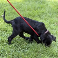 TUCKER - Photo 2