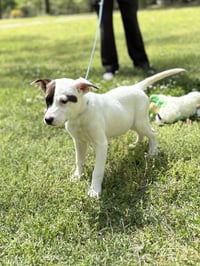 ZITI - Photo 3
