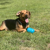 ACE  HOPE  LOWER FEE - Photo 1
