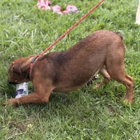 WINIFRED - Photo 4