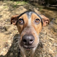 Darby    Lower Fee! - Photo 3