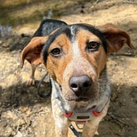 Darby    Lower Fee! - Photo 1