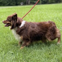 Kimmy Kibble - Photo 2
