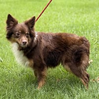 Kimmy Kibble - Photo 3