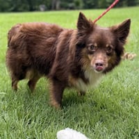 Kimmy Kibble - Photo 4