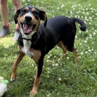 MOLLY - Photo 3