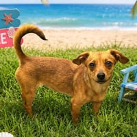 Peaches - Photo 3