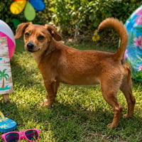 Peaches - Photo 4