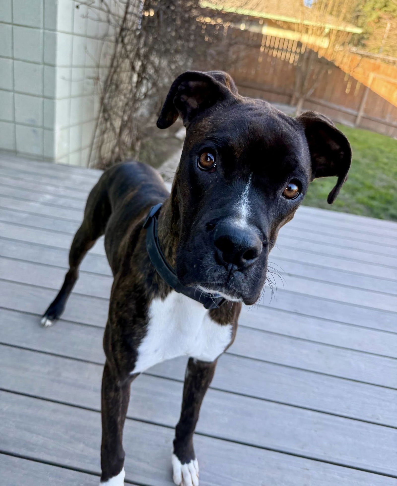 Rocky 2026-1 - Photo 3