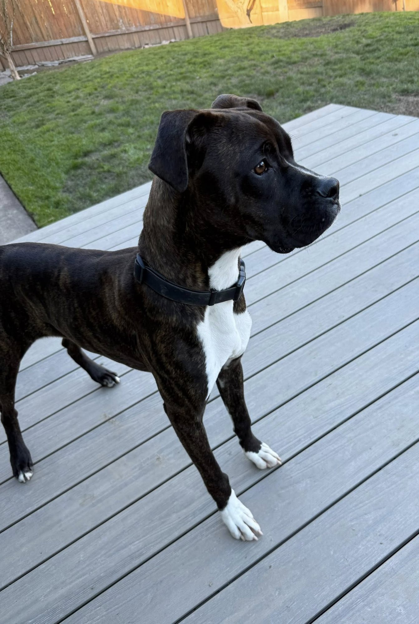 Rocky 2026-1 - Photo 4