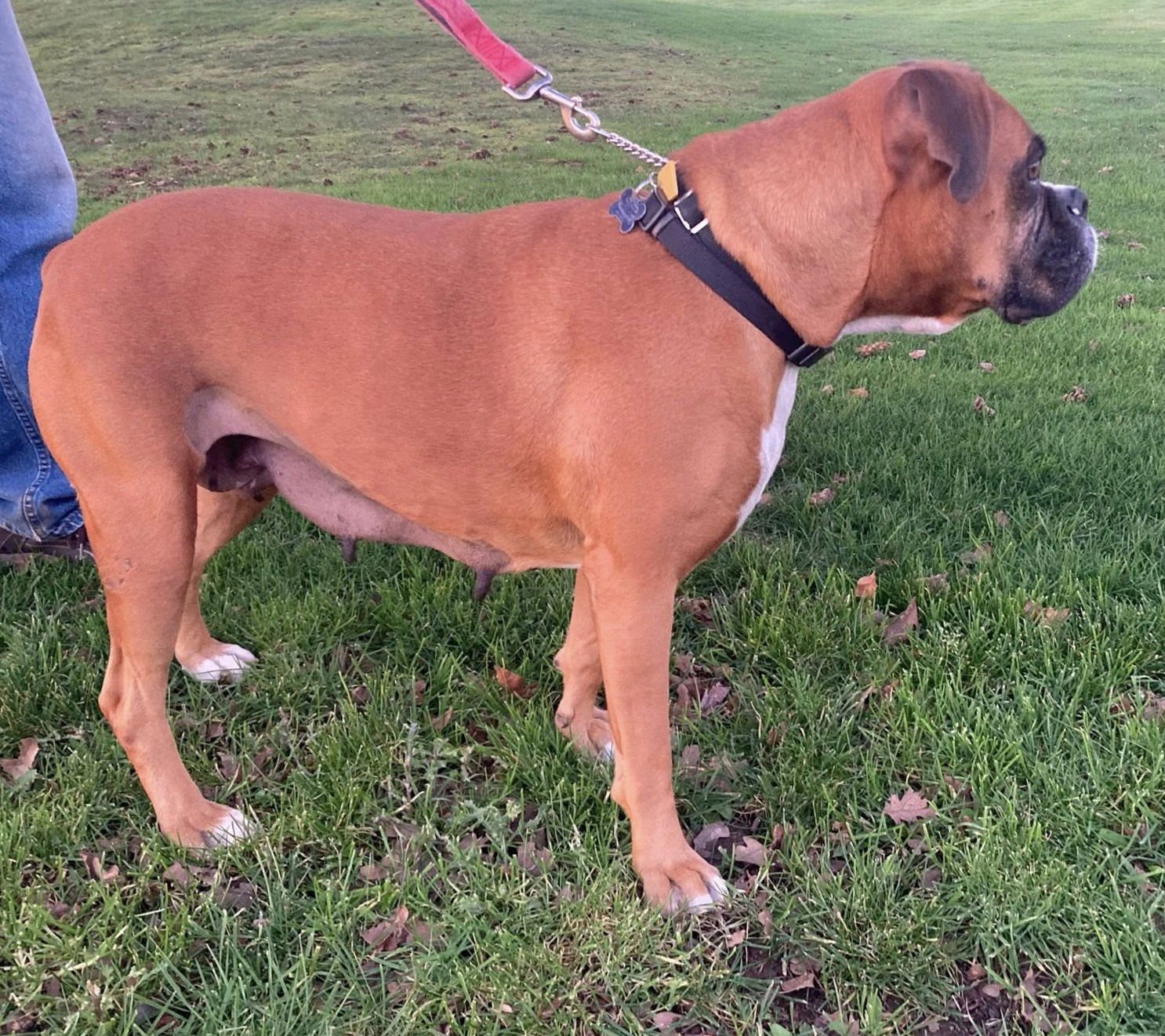 Harley 2025-1 - Photo 3