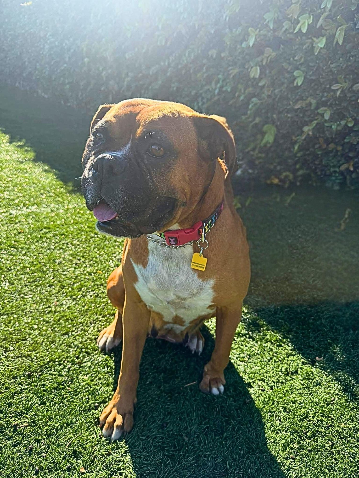 Harley 2025-1 - Photo 4