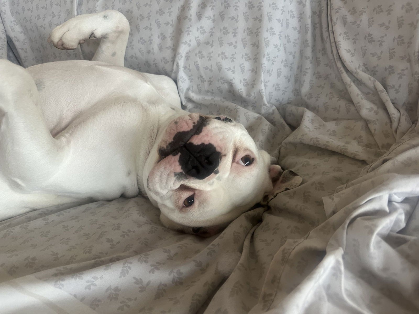 Luna 2026-1 - Photo 3