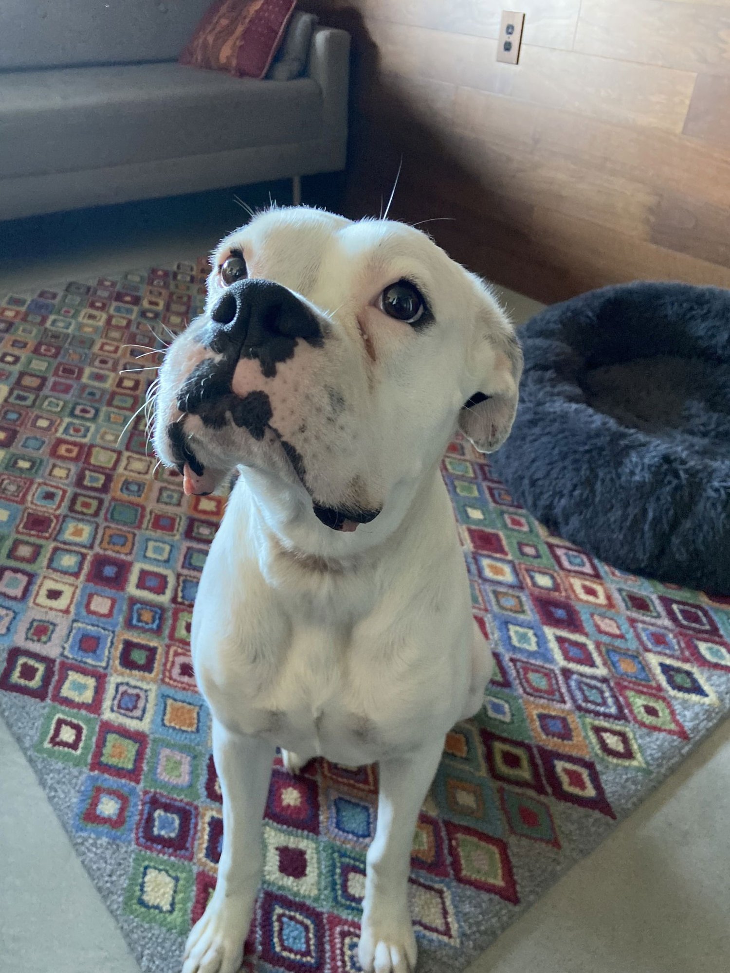 Mia 2026-2 - Photo 3