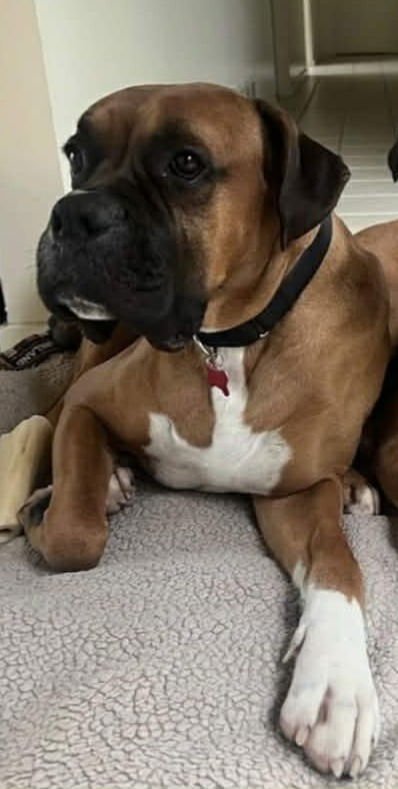 Cash 2025-2 - Photo 3