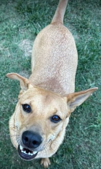 Monty - Photo 5