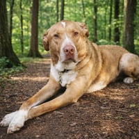 Herbie - Photo 3