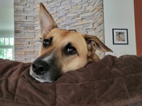 Winnie - Photo 3