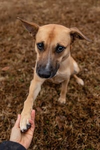 Winnie - Photo 4