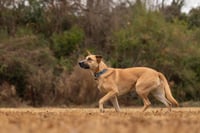 Winnie - Photo 7