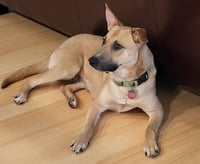 Winnie - Photo 8