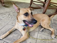 Winnie - Photo 6