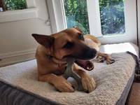 Winnie - Photo 11