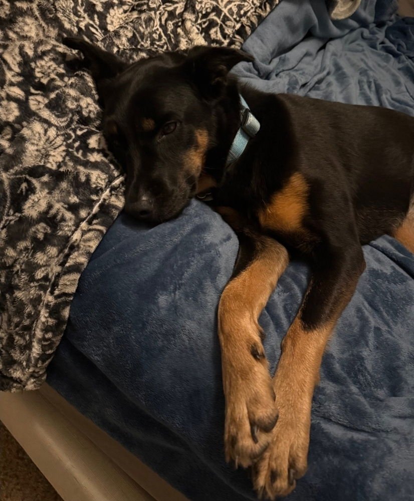 Ember - Courtesy Listing - Photo 3