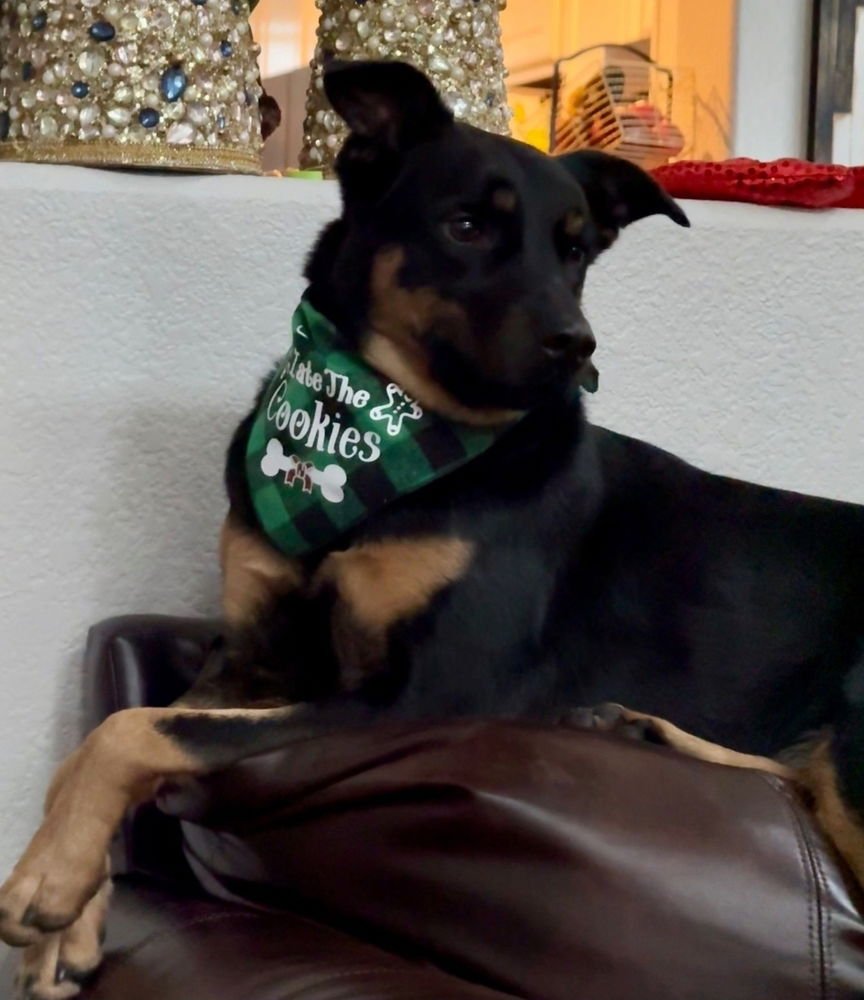 Ember - Courtesy Listing - Photo 4