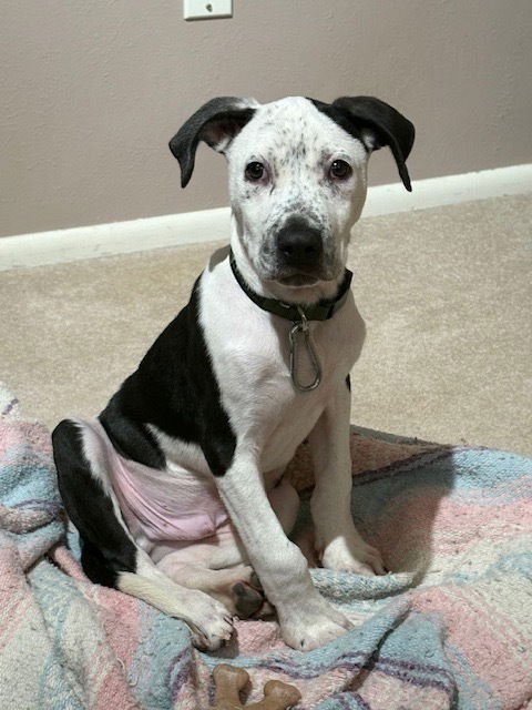 Aster nka Cash - Photo 3