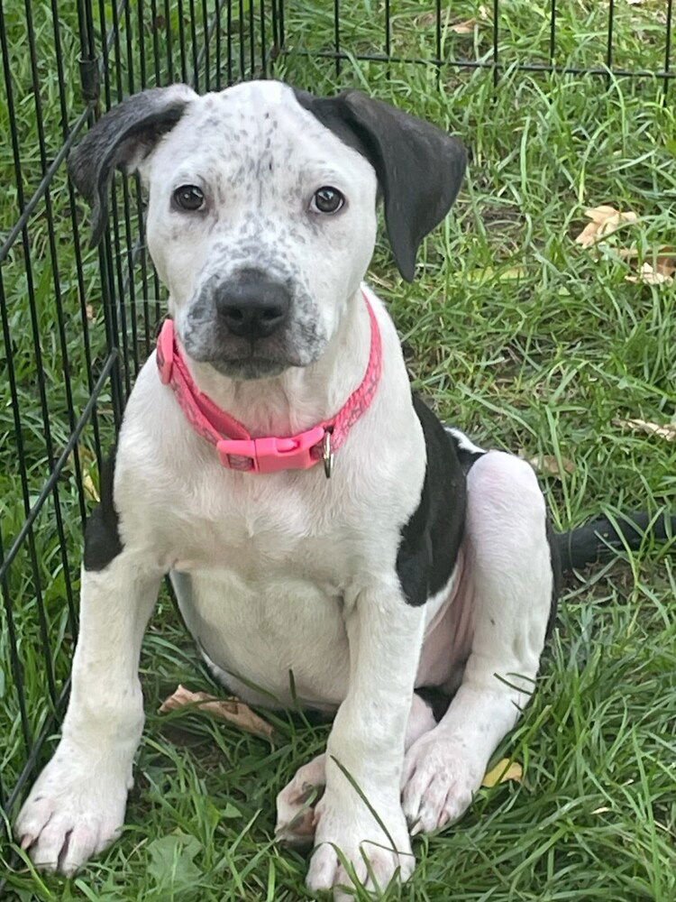 Aster nka Cash - Photo 4