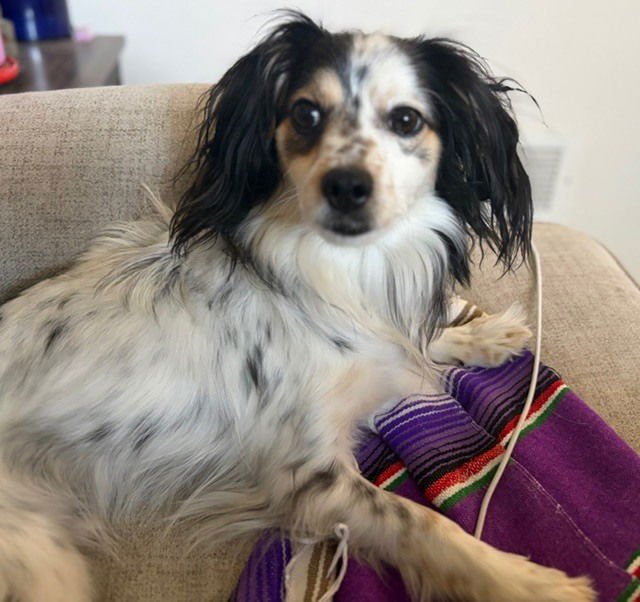 Roscoe fka Grant HW + - Photo 3