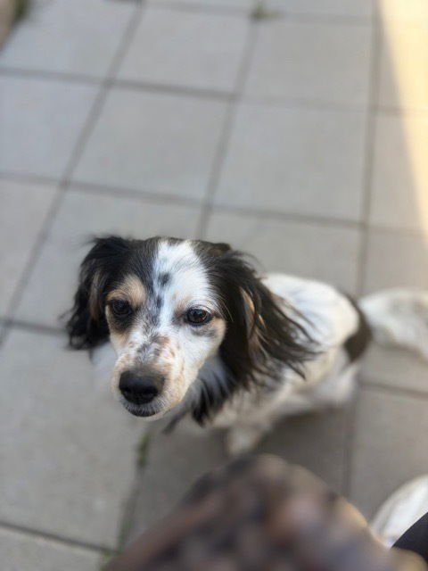 Roscoe fka Grant HW + - Photo 4