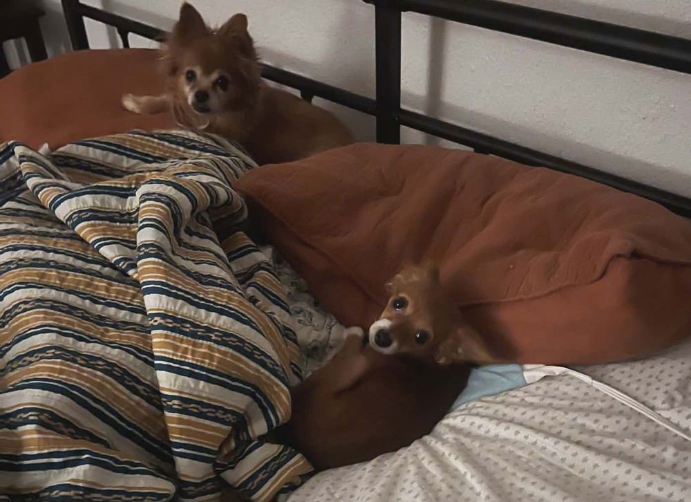 Bella Grace - Photo 3